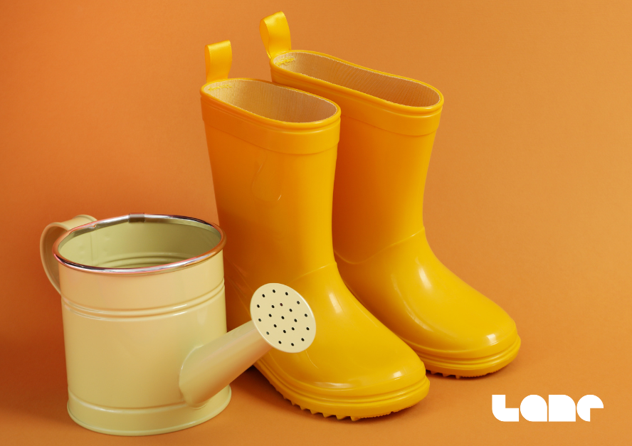 Wellies and watering can representing brand growth as a result of the brand audit