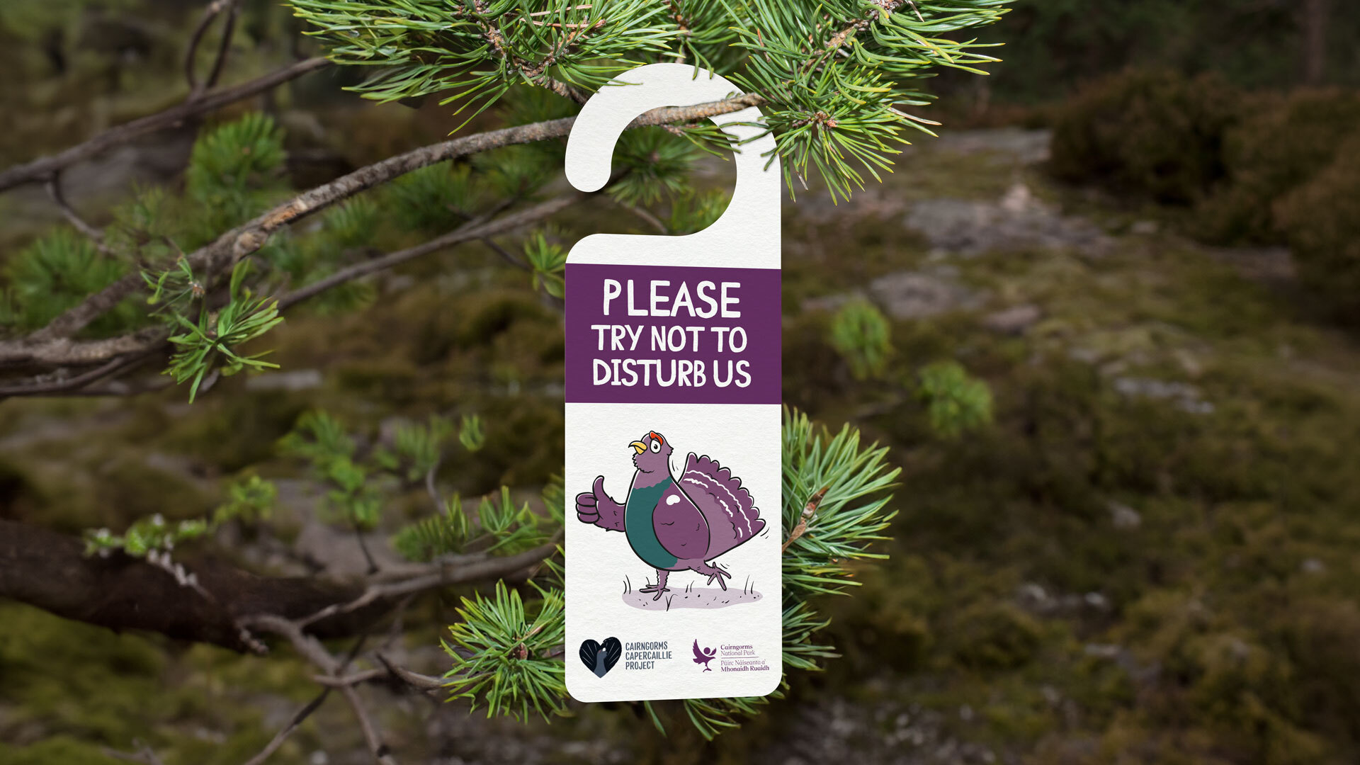 Please Do Not Disturb - Capercaillie - Cairngorms National Park Authority